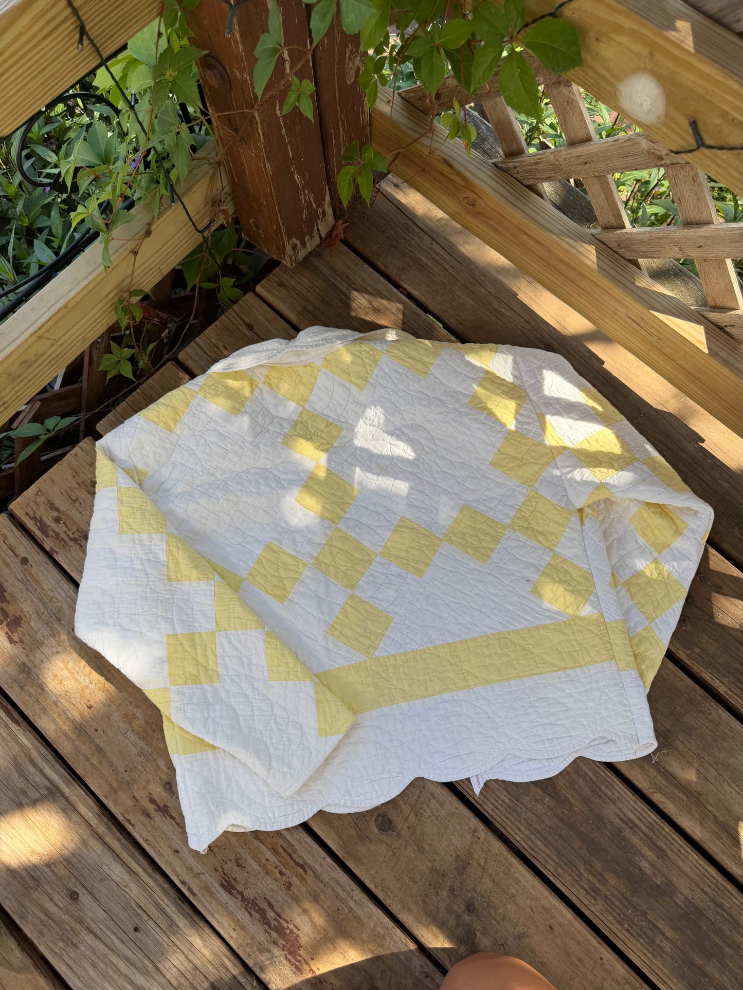 HONEY BELLE JACKET (M)