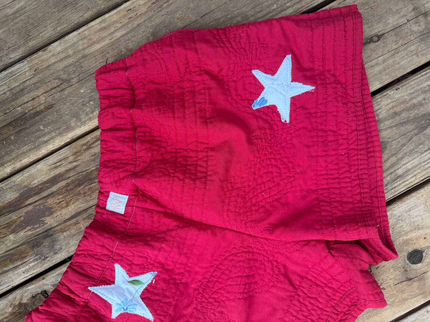 STAR SPANGLED SHORTS (L)