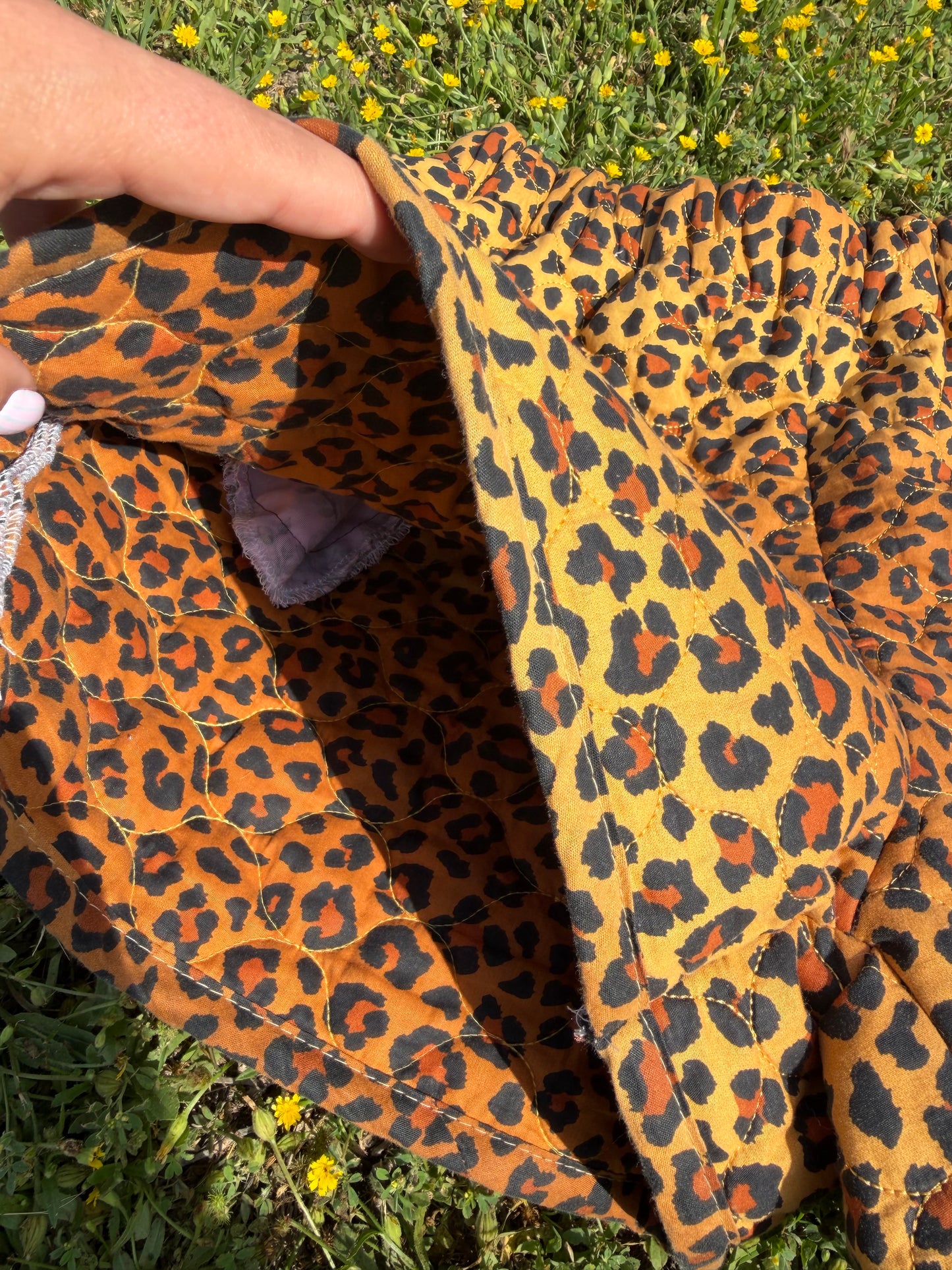 Cheetah Shorties (S/M)