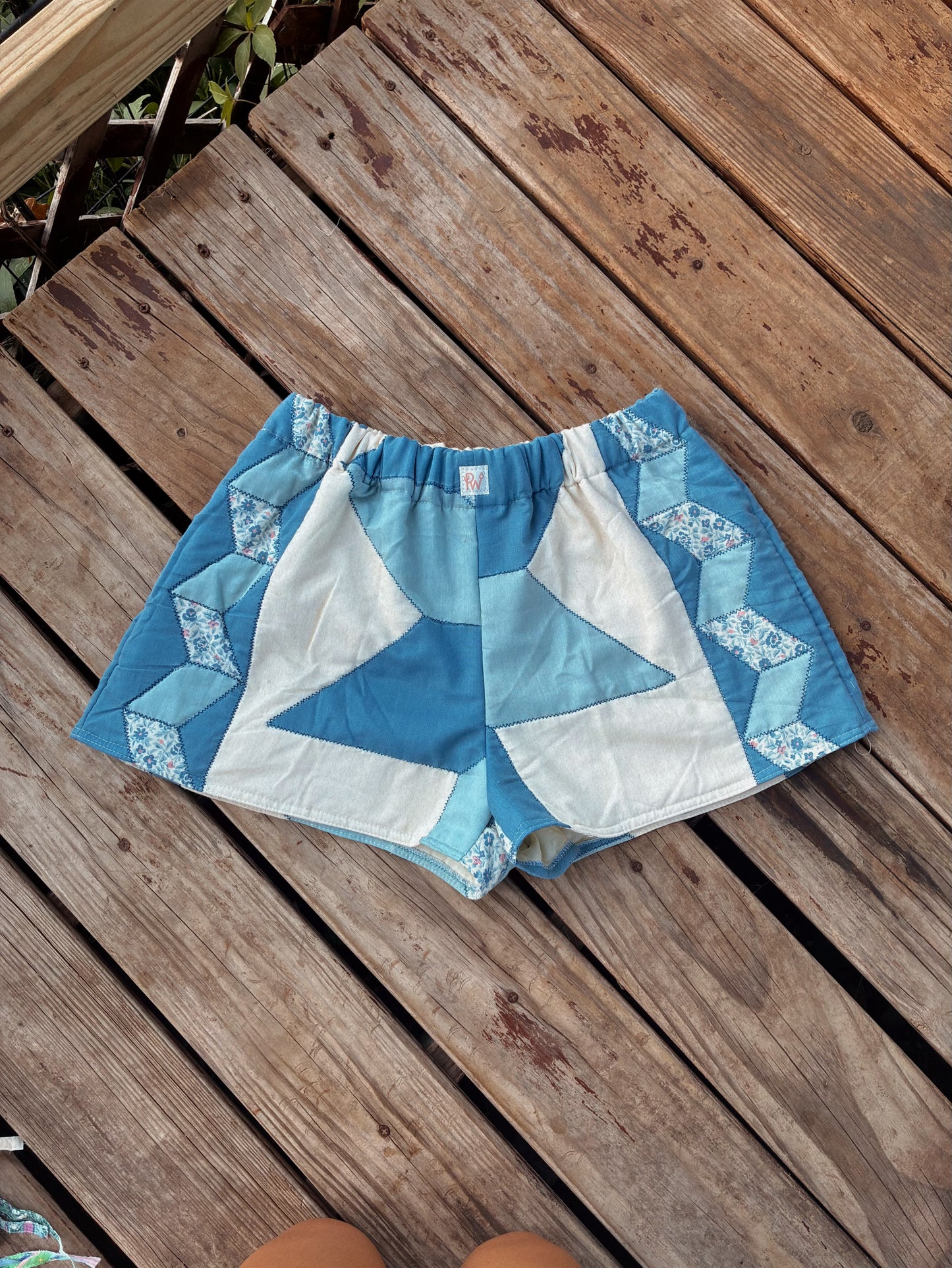 Under Water Shorties (L)