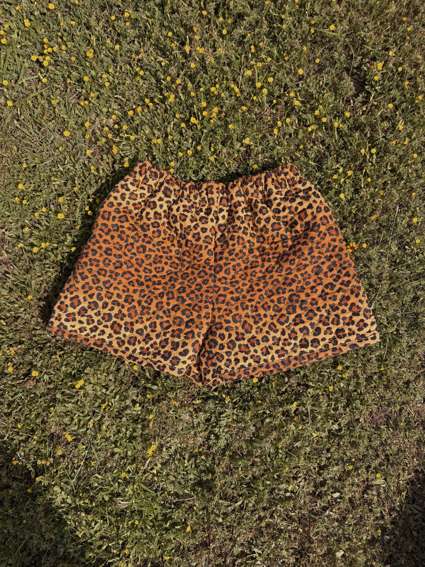 Cheetah Shorties (S/M)