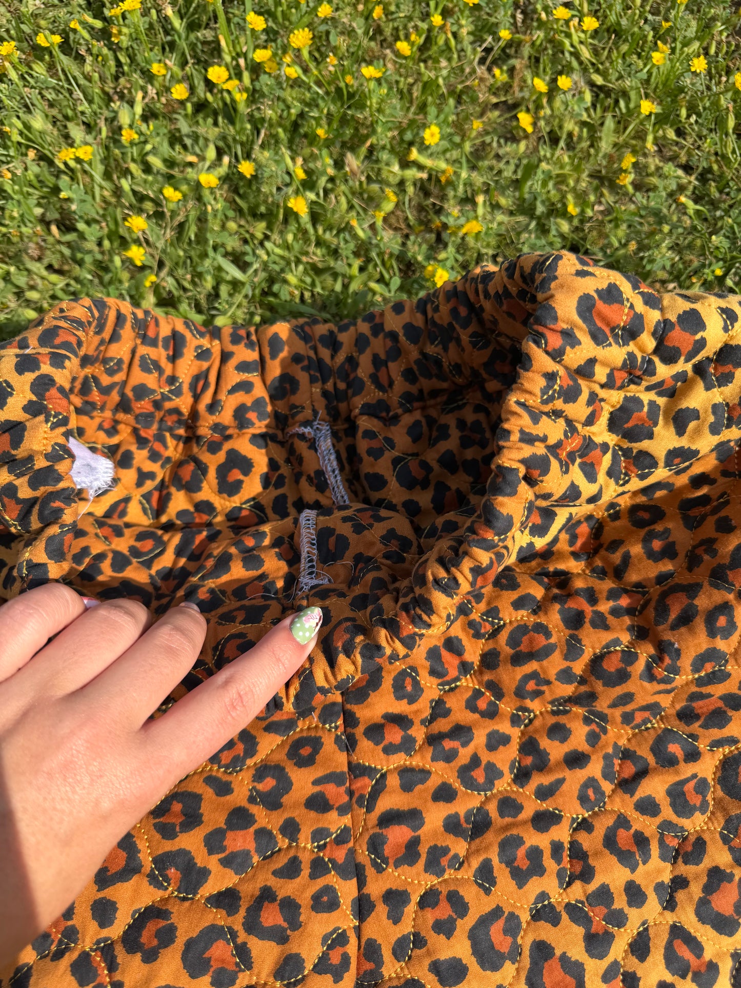 Cheetah Shorties (S/M)
