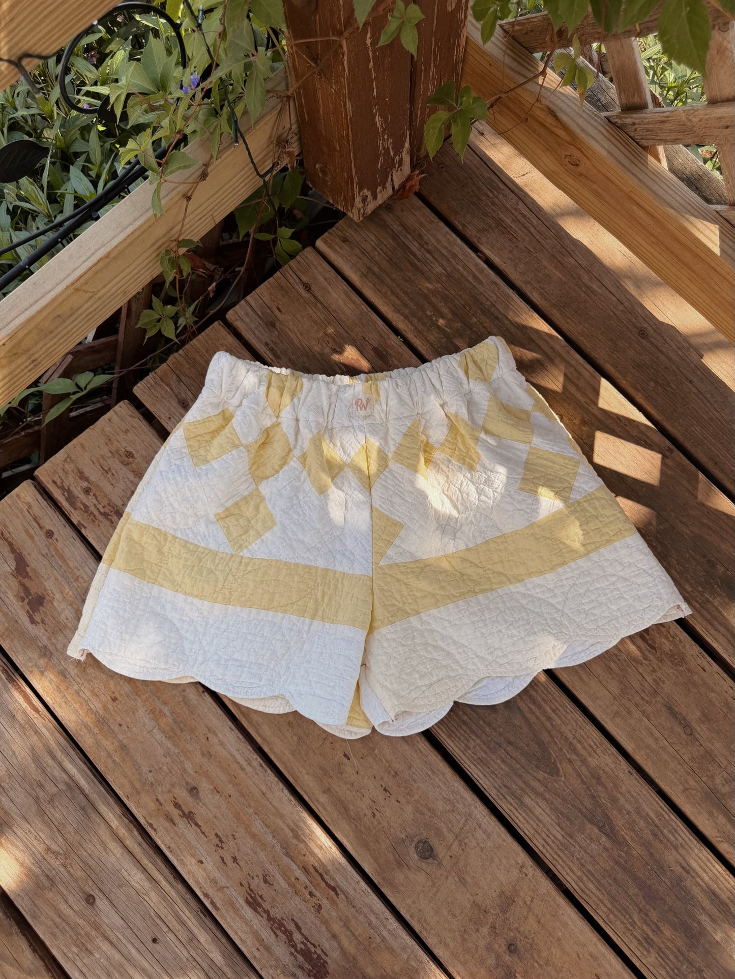 WILD HONEY SHORTIES (XL)