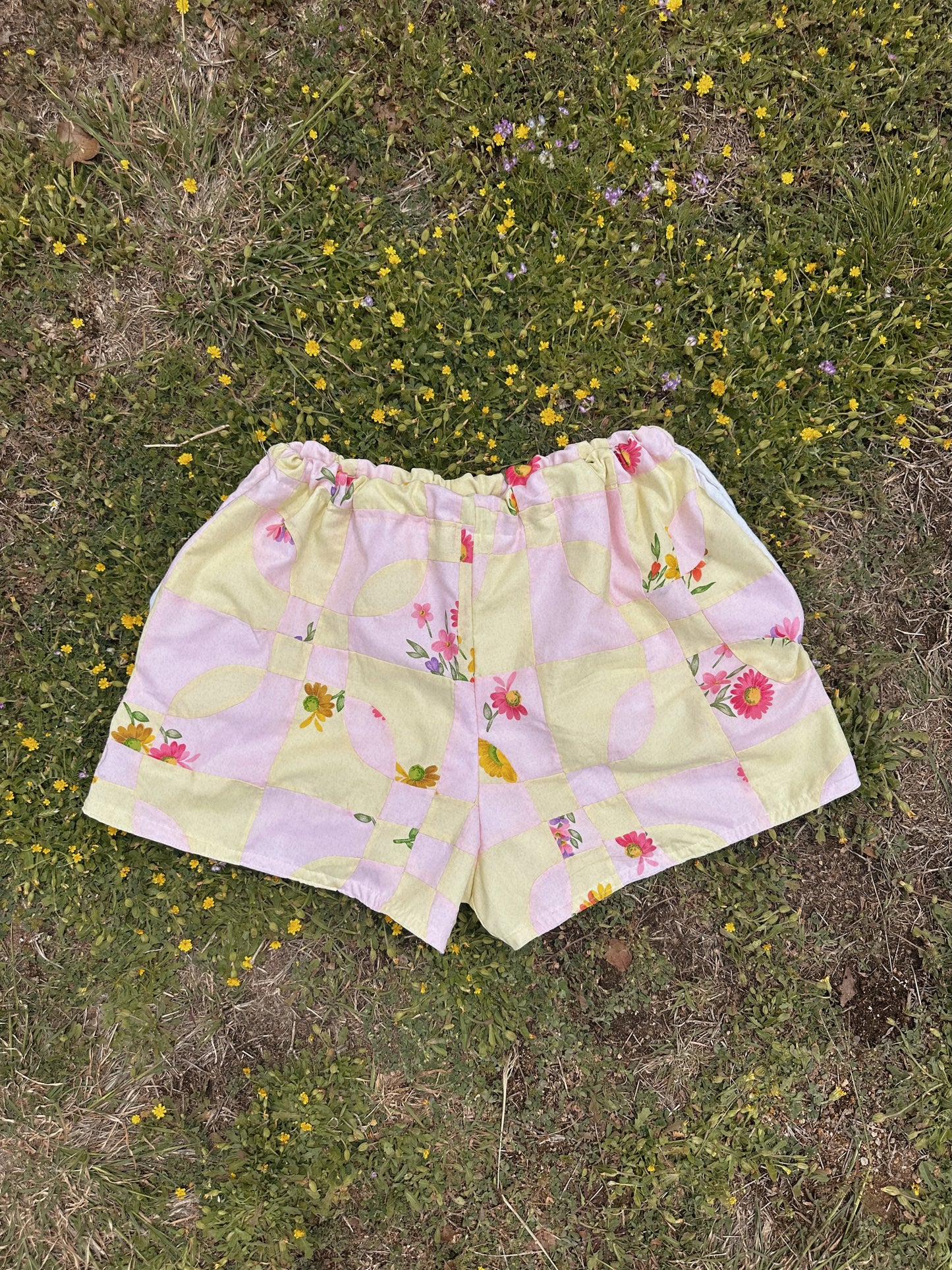IN THE SUN SHORTS (XL/2XL)☀️